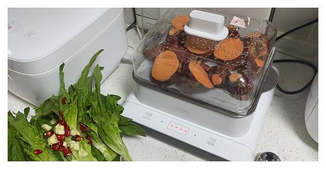 开云 开云体育官网电蒸锅买不锈钢的还是透明的？两个我都用过讲讲使用体验(图5)