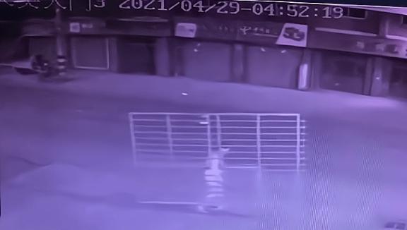 安徽一大妈凌晨扛走银行大门称以为是废品想卖掉监控视频曝光开云 开云体育(图3)