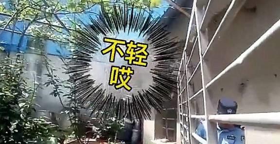 安徽一大妈凌晨扛走银行大门称以为是废品想卖掉监控视频曝光开云 开云体育(图6)