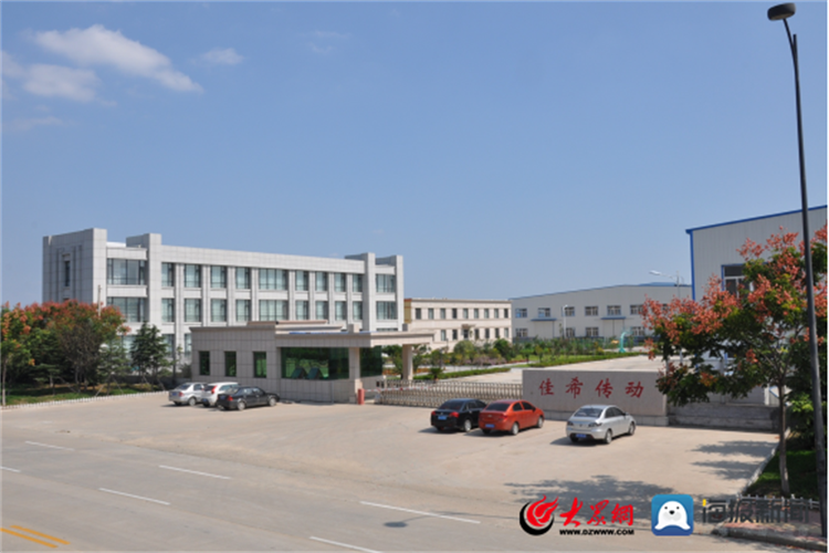 开云 开云体育喜报 平度经开区4家企业成功认定为2022年度青岛市雏鹰企业(图4)