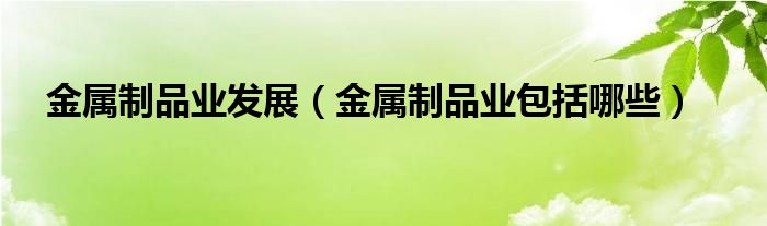 金属制品业发展（金属制品业包括哪开云体育 kaiyun.com 官网入口些）(图1)