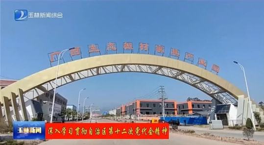 Kaiyun 开云体育柳钢中金未来200系、300系、4品种规格全覆盖(图2)