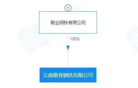 重磅！盘点20开云体育 开云官网20年新成立10家钢企！(图6)